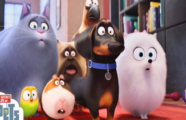 The Secret Life of Pets download the new version for android