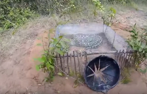 Snake Traps Make Your Own