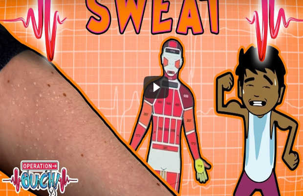 What is Sweat?