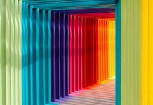 How do we see colours?