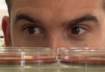 Is kissing disgusting?